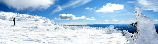 696403 (a): :4932x1367